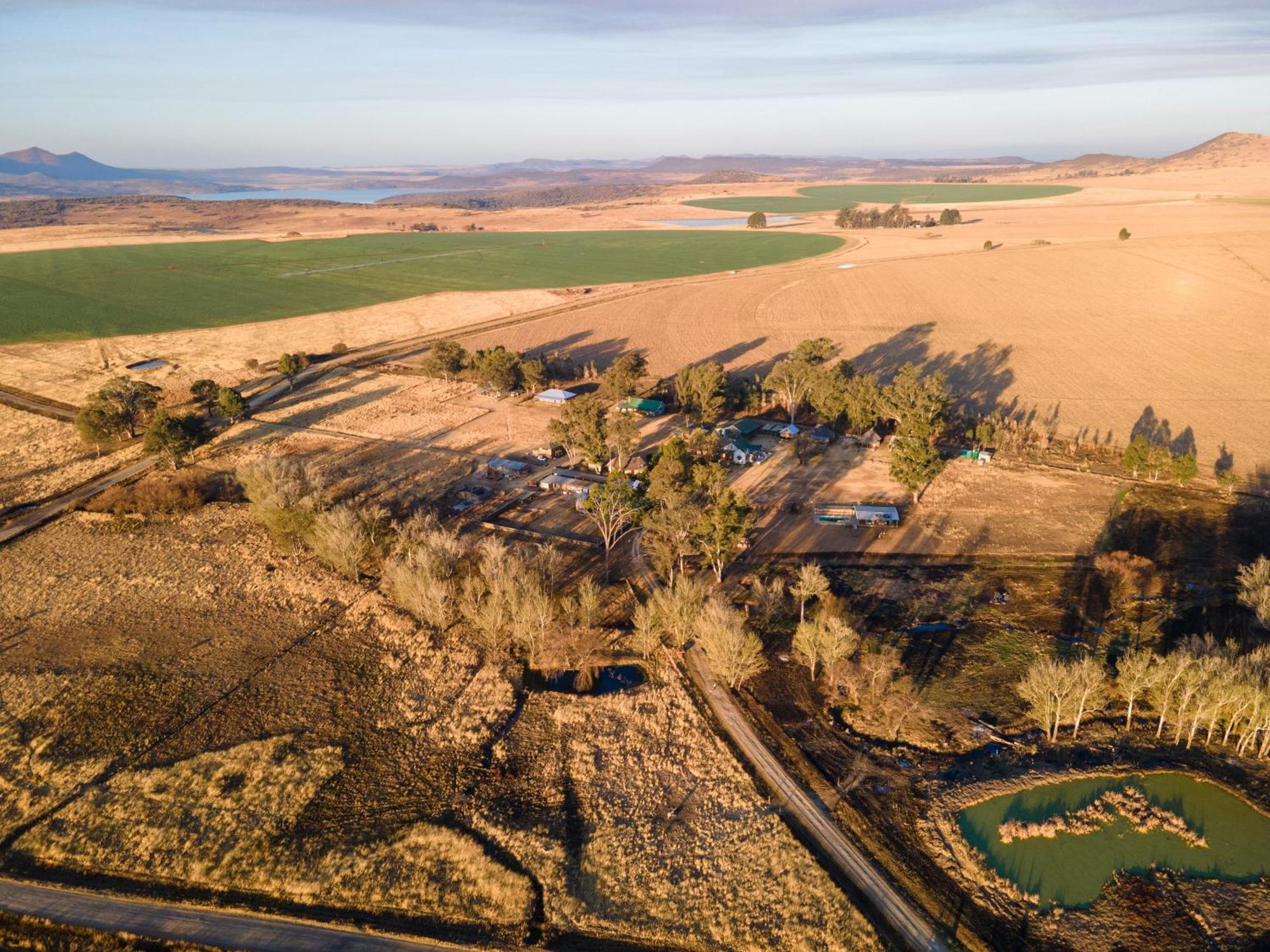 Dalmore Guest Farm เบิร์กวิลล์ ภายนอก รูปภาพ