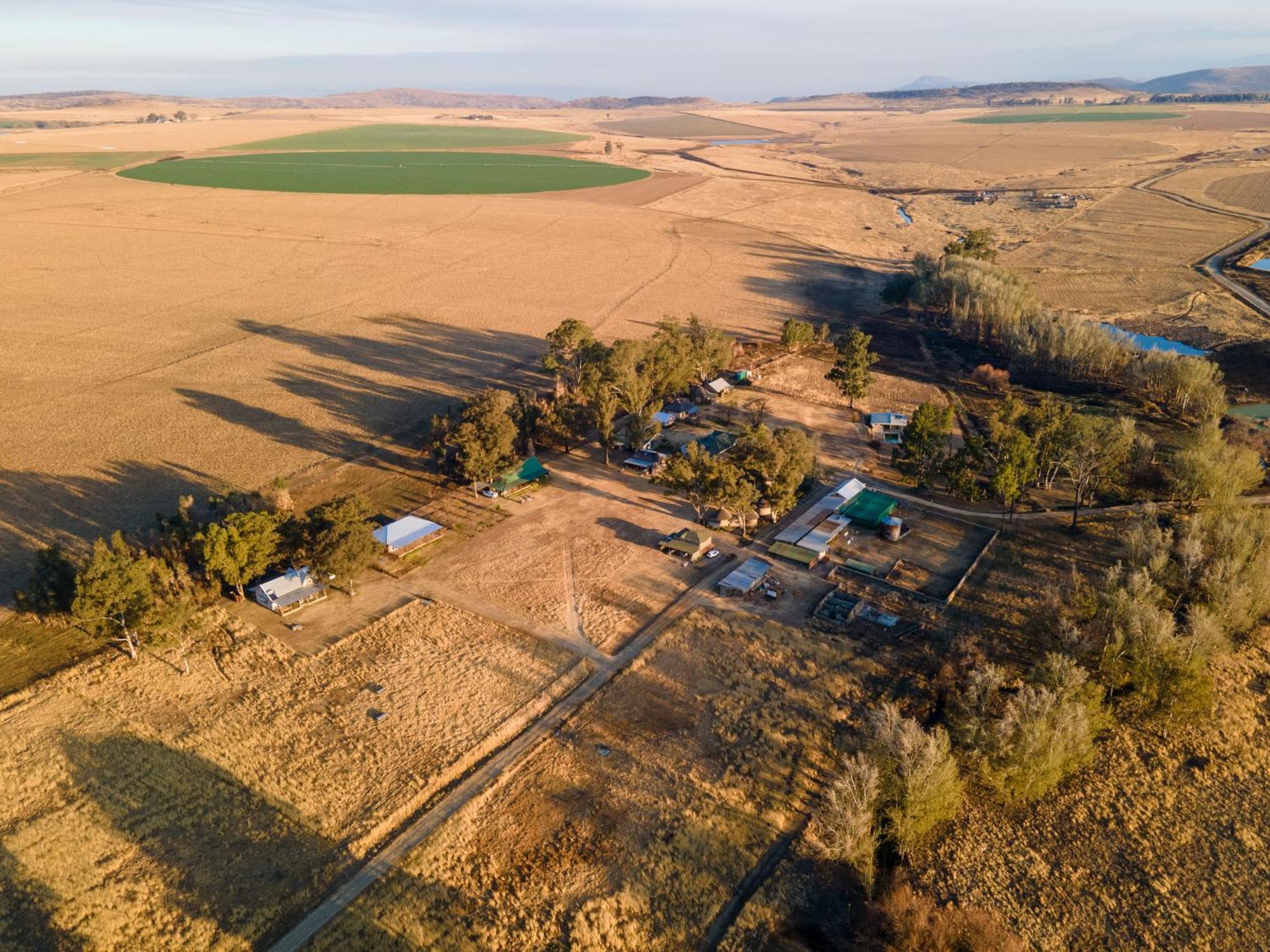 Dalmore Guest Farm เบิร์กวิลล์ ภายนอก รูปภาพ